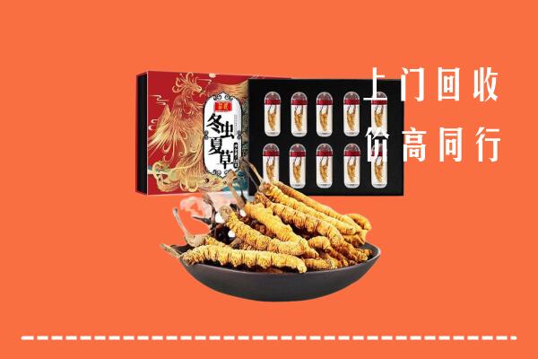 盘锦盘山高价回收虫草